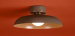 Потолочный светильник Freya Modern Movement FR5602CL-L10BR