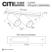 Спот Citilux Axel CL512521