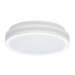 Светильник накладной Citilux LUNS CL711010V