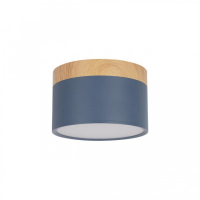 Накладной светодиодный светильник Loft IT Grape 10162 Blue