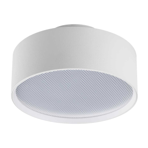 Светильник накладной Lightstar Acuto 215936